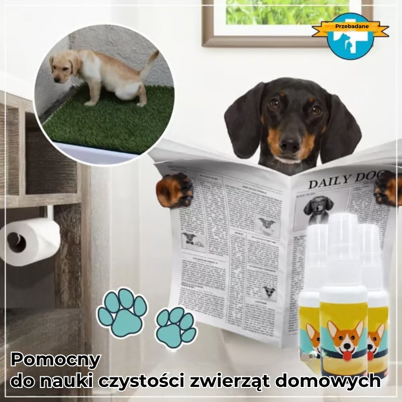 Spray do szkolenia psów