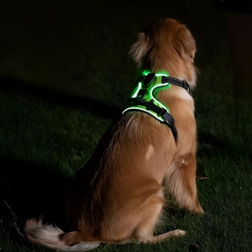Pawgear LED Light - świetlna uprząż dla psów