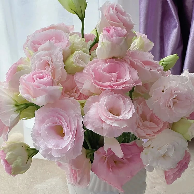 Nasiona bezkolcowych róż Eustoma (100 sztuk) 💐 Nasiona lisianthus