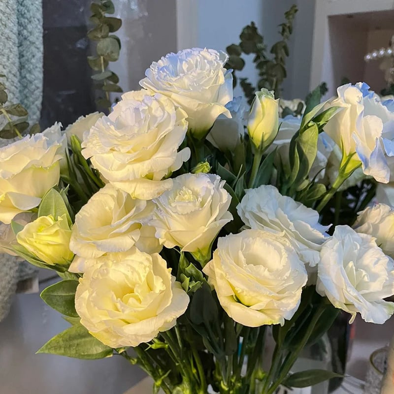 Nasiona bezkolcowych róż Eustoma (100 sztuk) 💐 Nasiona lisianthus