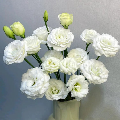 Nasiona bezkolcowych róż Eustoma (100 sztuk) 💐 Nasiona lisianthus