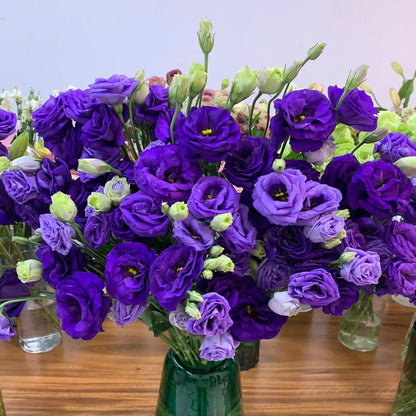 Nasiona bezkolcowych róż Eustoma (100 sztuk) 💐 Nasiona lisianthus