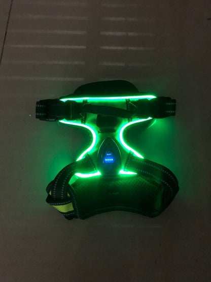 Pawgear LED Light - świetlna uprząż dla psów