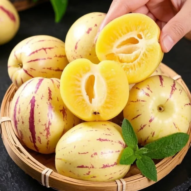 Nasiona pepino (1000 sztuk)