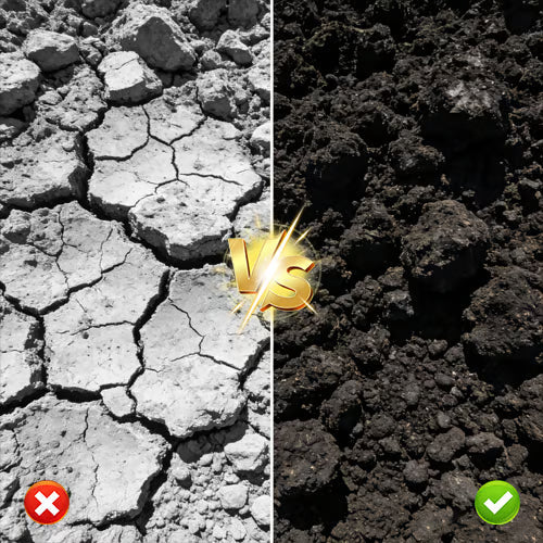 Soil Pro Activator – środek poprawiający jakość gleby dla zdrowego wzrostu roślin